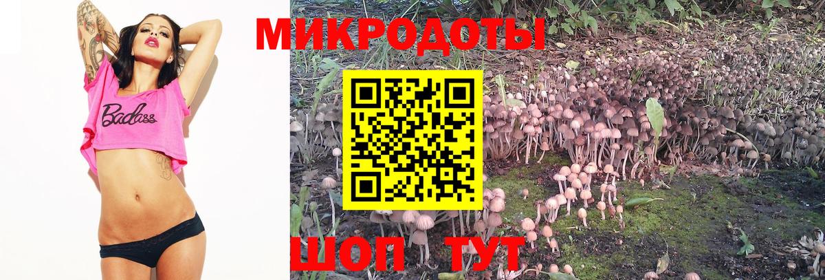 Галлюциногенные грибы Psilocybine cubensis Гусь-Хрустальный