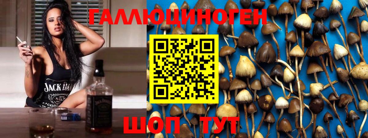 что такое наркотик  Галлюциногенные грибы мухоморы  Галлюциногенные грибы GOLDEN TEACHER  Вход с VPN  Гусь-Хрустальный 