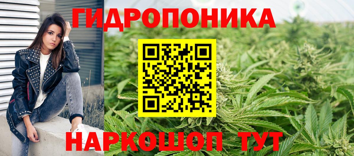 Каннабис SATIVA & INDICA  Вход с VPN  Гусь-Хрустальный  Канабис ГИДРОПОН  Марихуана White Widow 
